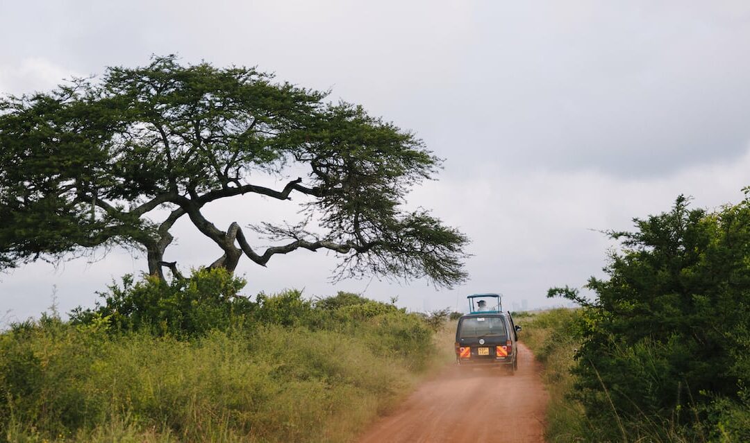 Kenya, East Africa (1)