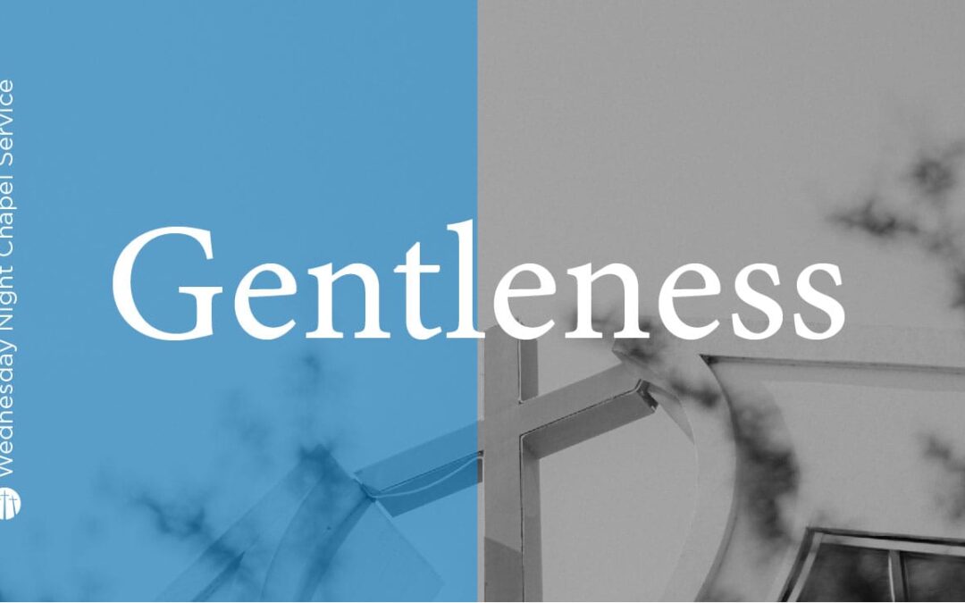 Gentleness | Living a Spirit-Led Life