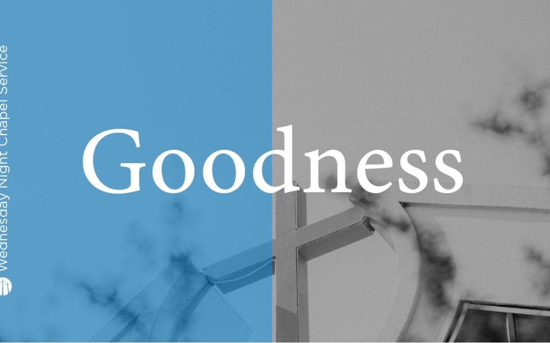 Goodness | Living a Spirit-Led Life