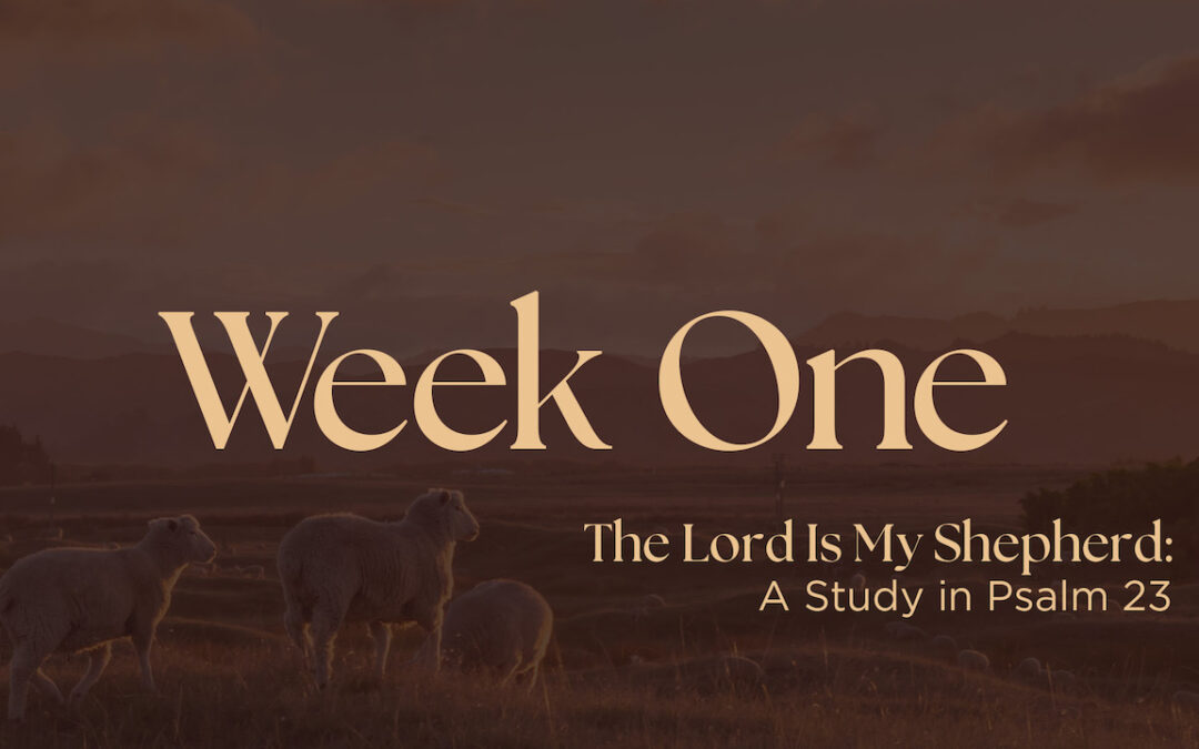 The Lord is My Shepherd | Week One