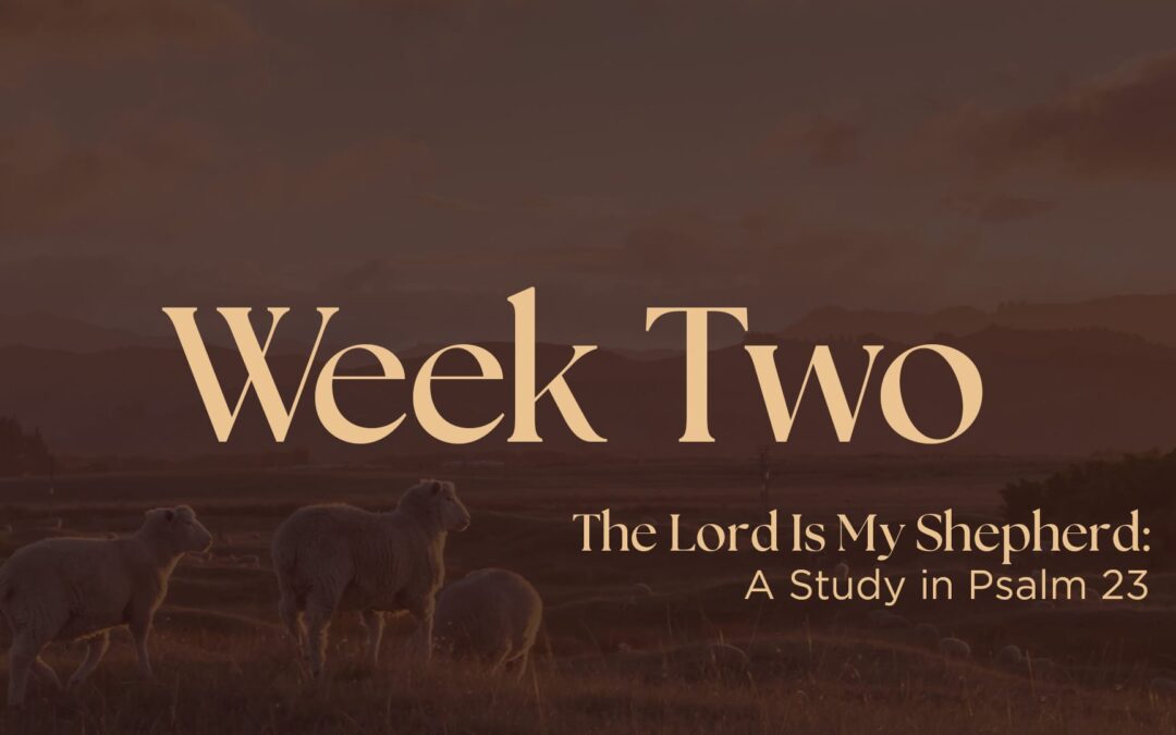 The Lord is My Shepherd | Week Two