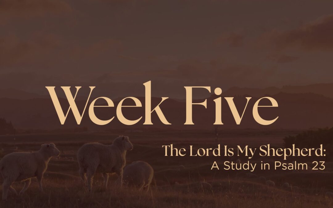 The Lord is My Shepherd | Week Five