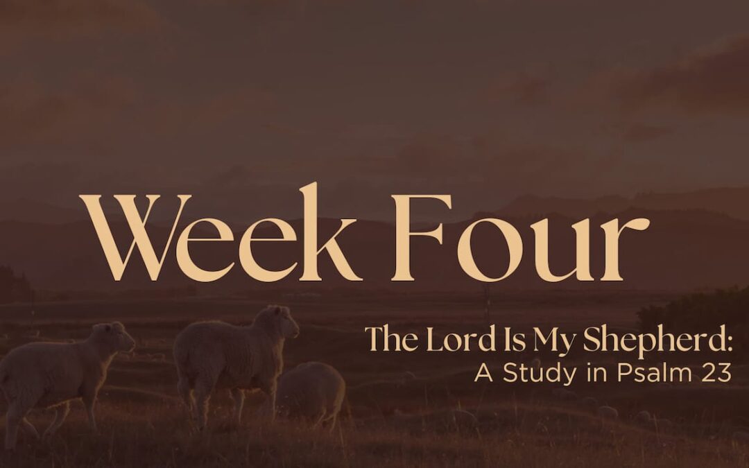 The Lord is My Shepherd | Week Four