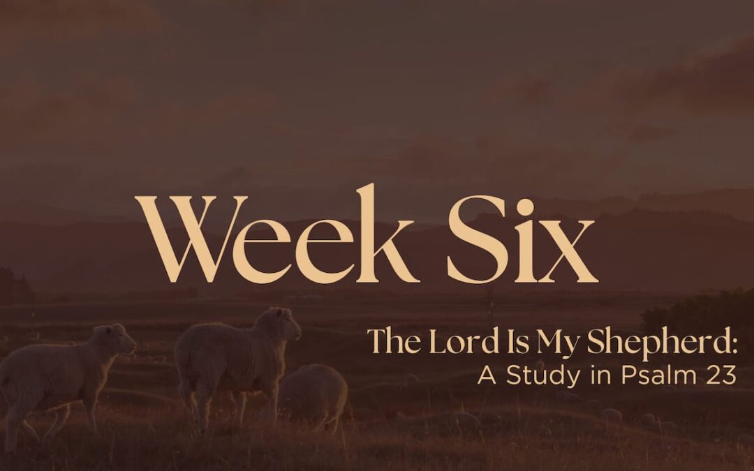 The Lord is My Shepherd | Week Six