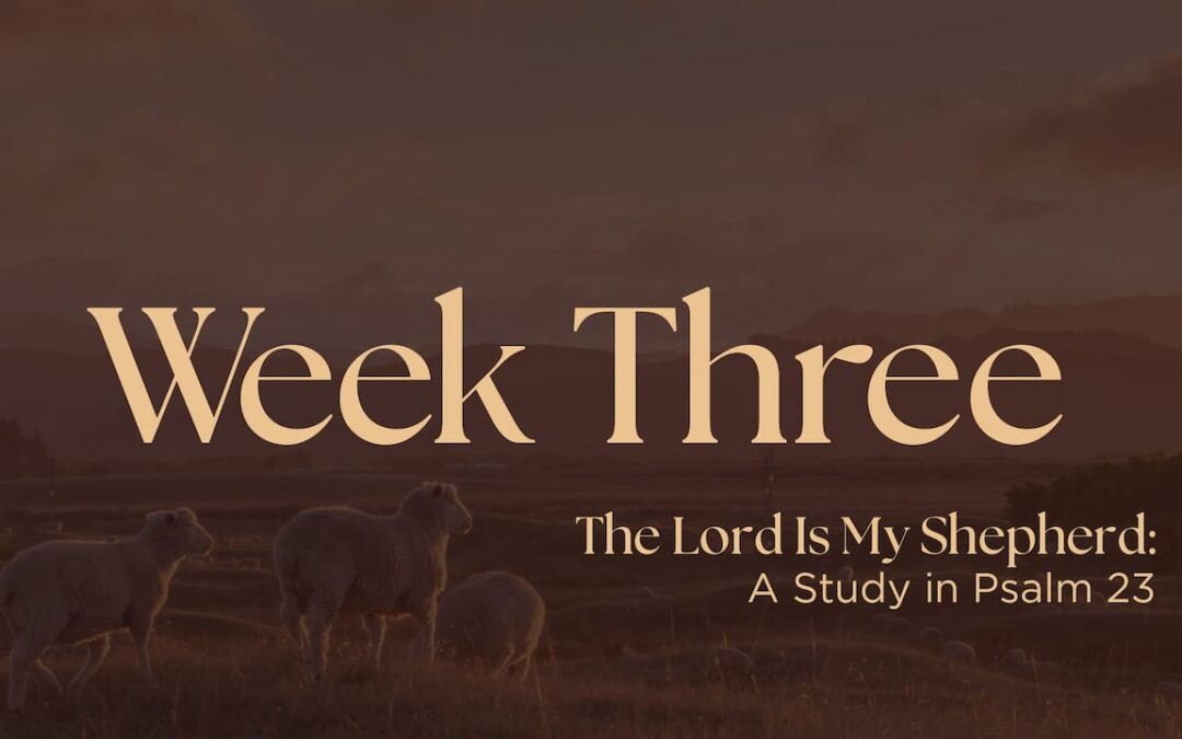 The Lord is My Shepherd | Week Three