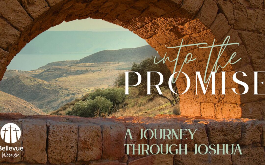 Into the Promise